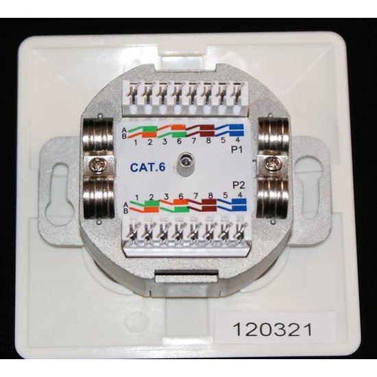 Wandcontactdoos CAT6 2x inbouw kabeldoorvoer) | Netwerkproducten