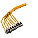 Pre-assembled Cat.6A S/FTP 6x (4x2xAWG23/1) trunk cable
